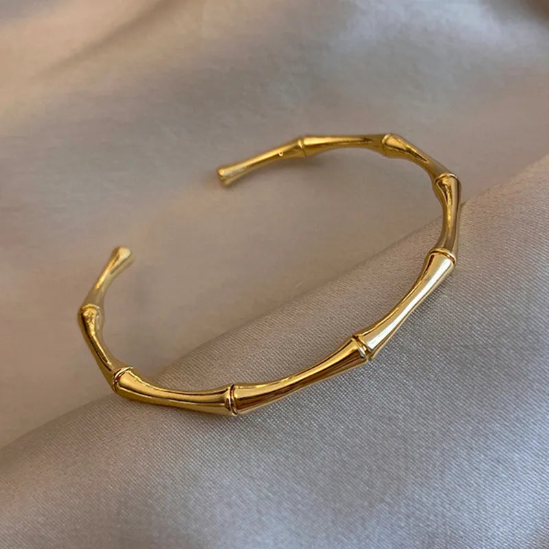 LuxeLine Titanium Bangle